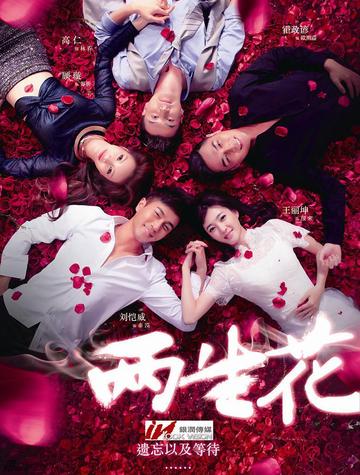 两生花，2015年刘恺威、王丽坤主演的电视剧