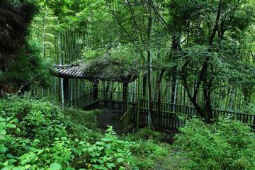 达州市，四川省地级市