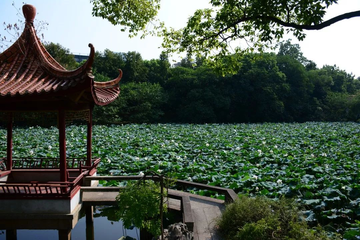 江西科技师范大学，中国江西省南昌市境内公办高校