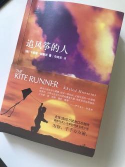 《追风筝的人》简介：阿富汗移民男孩的成长与救赎之路