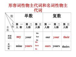 理解并运用形容词性物主代词：定义、用法和实例