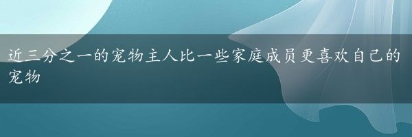 近三分之一的宠物主人比一些家庭成员更喜欢自己的宠物