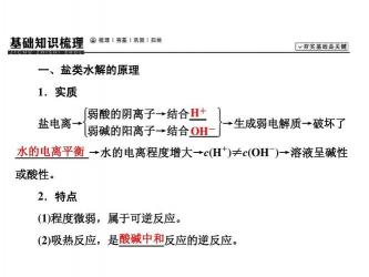 可逆反应，同时向正逆反应方向进行的化学反应