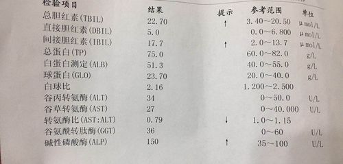 乙肝小三阳能转阴吗，低概率自然转阴及免疫调节恢复