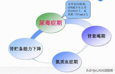 脑血栓形成原因：生理性因素与病理性因素的综合影响