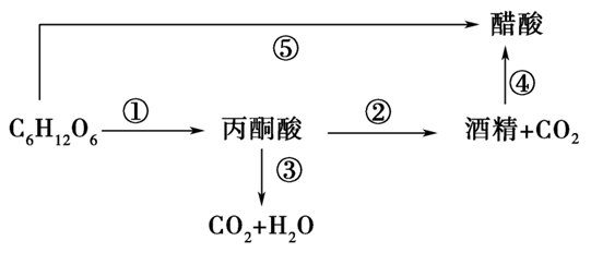 酒精挥发：物理变化而非化学变化