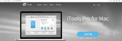 iTools是什么？全面了解这款苹果设备同步管理软件