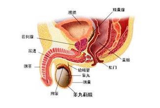 前列腺炎怎么治?-了解治疗方法，选择合适方案