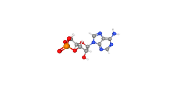 环磷酸腺苷，一种有机物