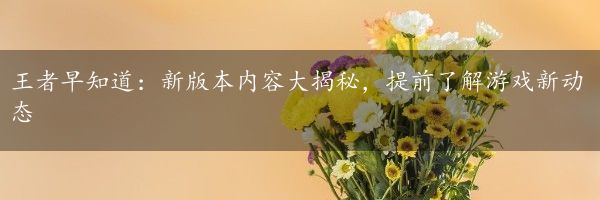 王者早知道：新版本内容大揭秘，提前了解游戏新动态