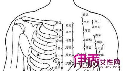 探索背部健康之路：背部经络图与按摩手法解析