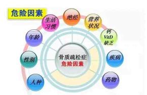 骨质疏松怎么治疗最好的方法：综合治疗，全面守护骨骼健康