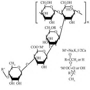 黄原胶，阴离子型胞外多糖类高聚物