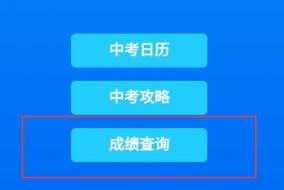 2020中考成绩怎么查？一文带你轻松查询及暑期准备