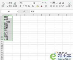 Excel中如何按照拼音字母排序：简单易懂的步骤指南