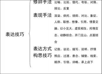 语文表现手法详解：深入了解各种技巧与应用