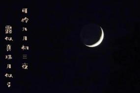 可怜九月初三夜：白居易笔下的美景与情思