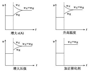 催化剂的作用：均相、多相、生物与自动催化，改变化学反应的速率与平衡