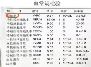 血常规白细胞偏高：原因、意义及应对方法