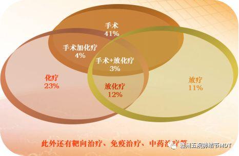 肺癌治疗：多学科综合方案与最新手术技术的探索与实践