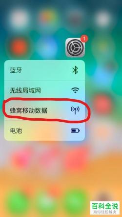 苹果手机流量开关：开启与关闭的步骤指南