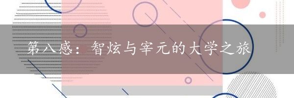 第八感：智炫与宰元的大学之旅