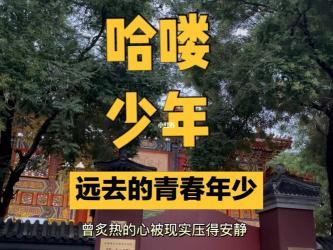 年少有你歌词：青春回忆中的心动旋律