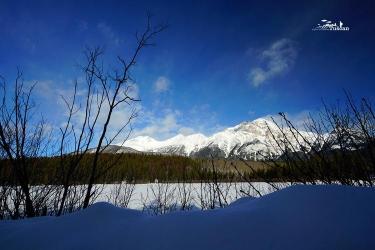 描写冬天景色的成语大全：山寒水冷、银装素裹等，带你领略冬日风光