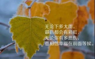 简短人生感悟经典句子：点亮内心的智慧之光