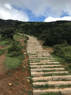 大姆山草场：天然高山草场的神秘之旅