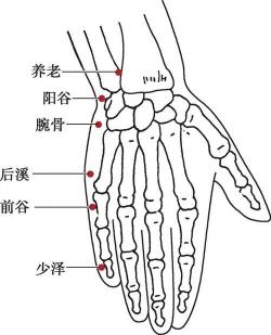 阳谷穴的准确位置图：手太阳小肠经常用腧穴