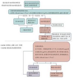 肾小球肾炎治疗：从休息到抗炎的综合管理