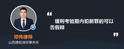 假释：刑罚执行中的提前释放与条件