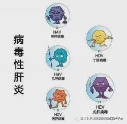 病毒性肝炎传播途径：了解与预防