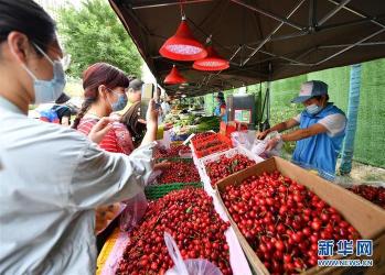 地摊经济：城市边缘经济的独特魅力与挑战