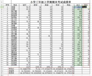 如何使用Excel制作成绩表：从输入信息到自动排名的详细指南