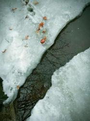 下雪英语：皮肤如雪，阳光融化