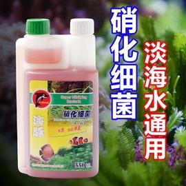 硝化细菌怎么用？一篇文章教你正确使用硝化菌的方法与技巧