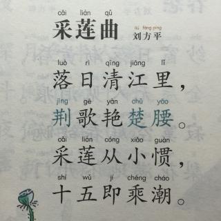 《采莲曲》诗意解读与赏析：白居易笔下的细腻之美