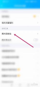 如何在电脑版QQ中找回被删除的好友：详细操作指南