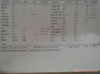 了解酮体一个加号：含义、原因与应对方法