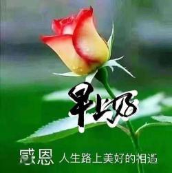 友谊祝福语：珍视情谊，共度美好时光