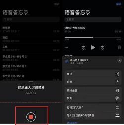 iPhone录音导出指南：轻松将录音传输到电脑