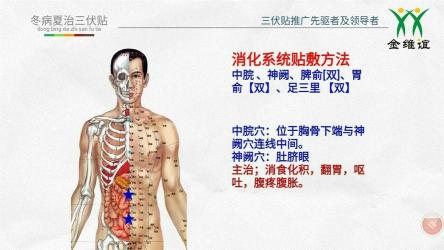 三伏贴贴的正确位置图：穴位选择与病症调理指南