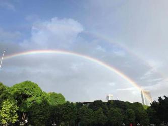 雨后彩虹之谜：为什么雨后会出现彩虹现象？