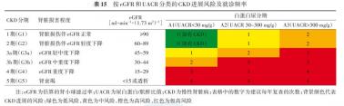 肌酸酐偏高：原因、风险与如何管理