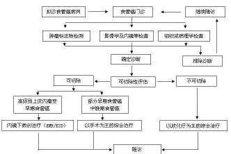 食道炎治疗指南：了解不同类型及对应药物治疗