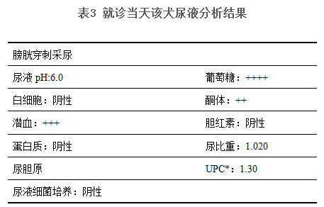 尿胆原偏高：原因、影响与应对策略