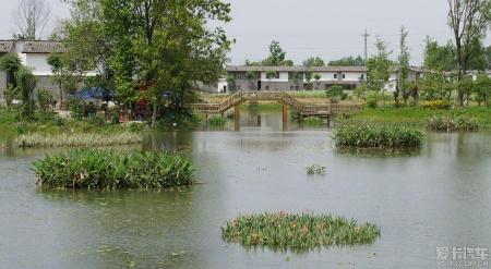 青杠树下的水乡梦：三道堰的休闲养生胜地