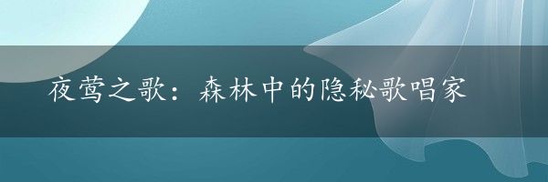 夜莺之歌：森林中的隐秘歌唱家